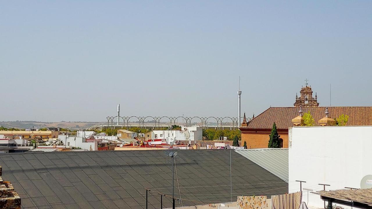Atico En Calatrava - Vistas Y Gran Terraza Privada Appartement *